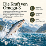 Nordura Salmon Oil – Norwegisches Lachsöl für Hunde, 300 ml